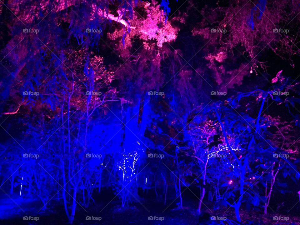 3D Blue Trees