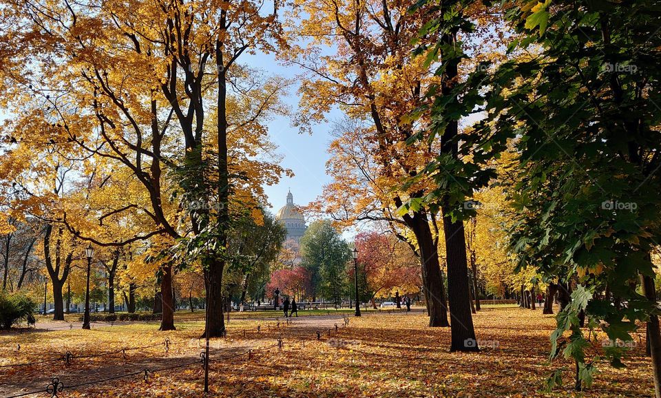 Autumn in the park 🍂🍁 Plants 🍂🍁 Urban 🍂🍁 Trees 🍂🍁