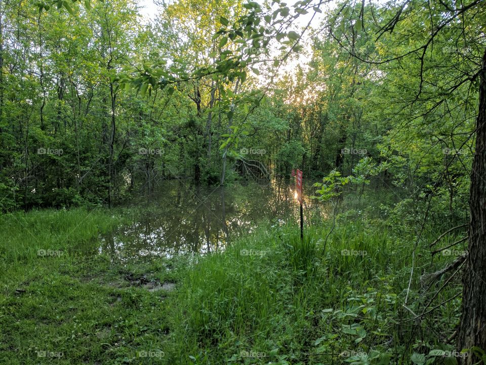 flooded trails