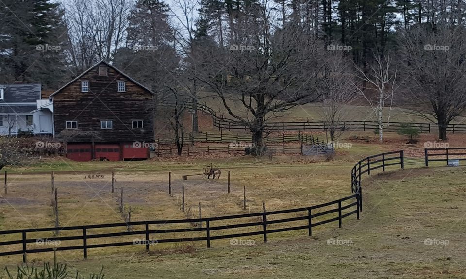 Maine farm