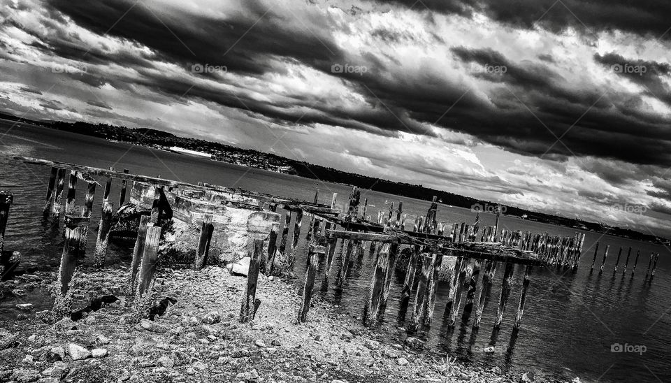 Decay in Black & White