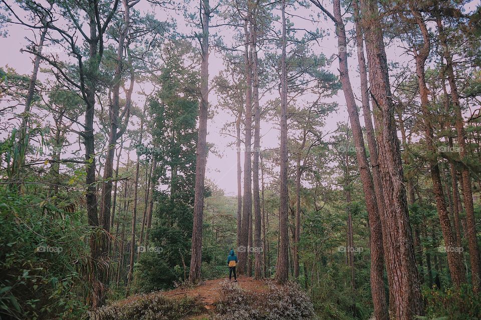 a man standing in the woods