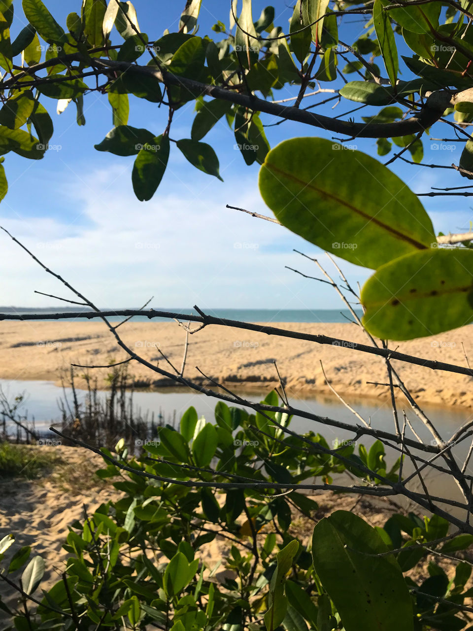 Praia de coroa vermelha Bahia brasil 🇧🇷