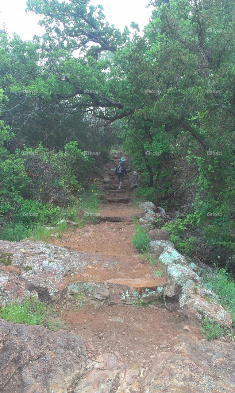 Trail in Early Morning. It was a foggy morning in the Wichita Mountains of Oklahoma. 