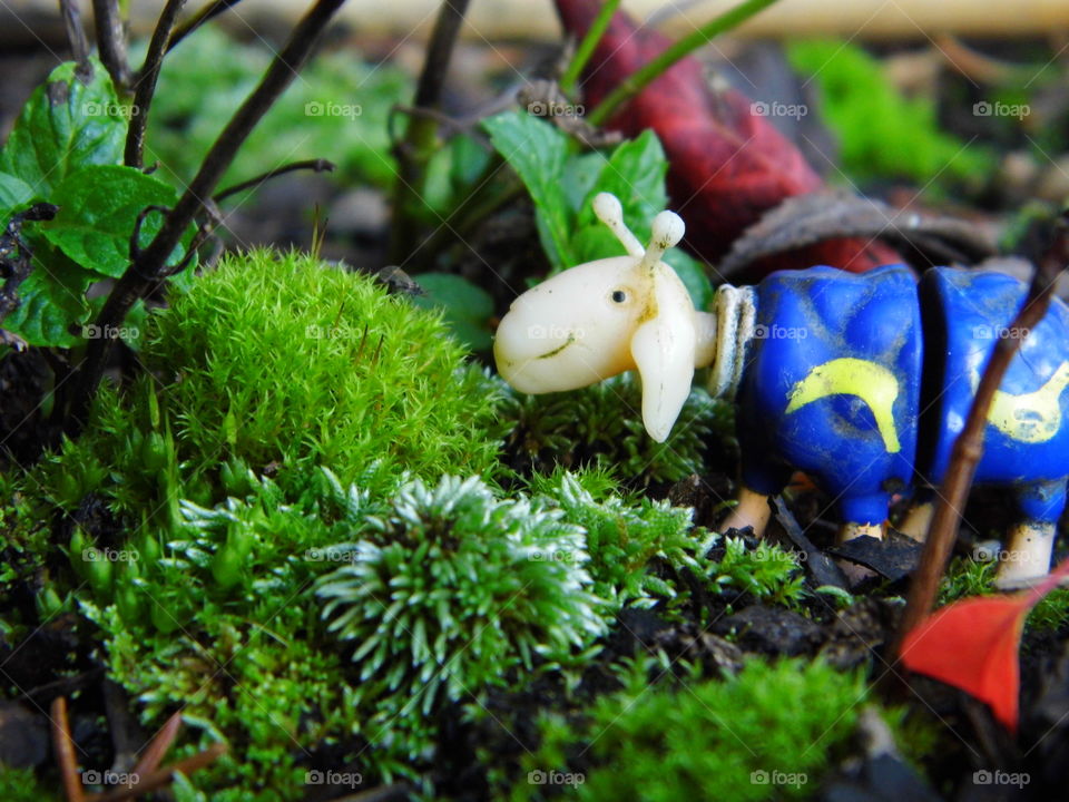 the toy in my garden