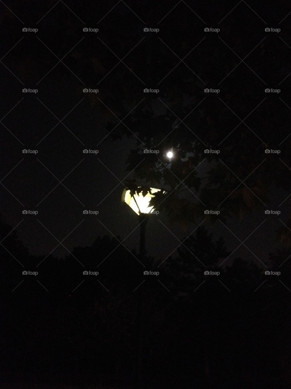 A lantern and moon lightning in the night