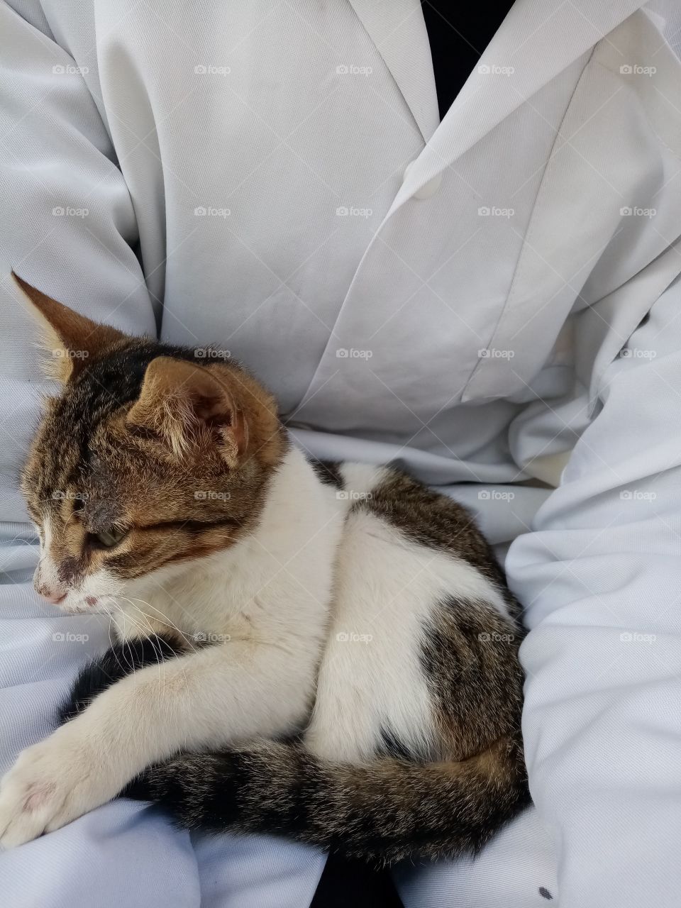 Just a few minutes this cat Will be my freind