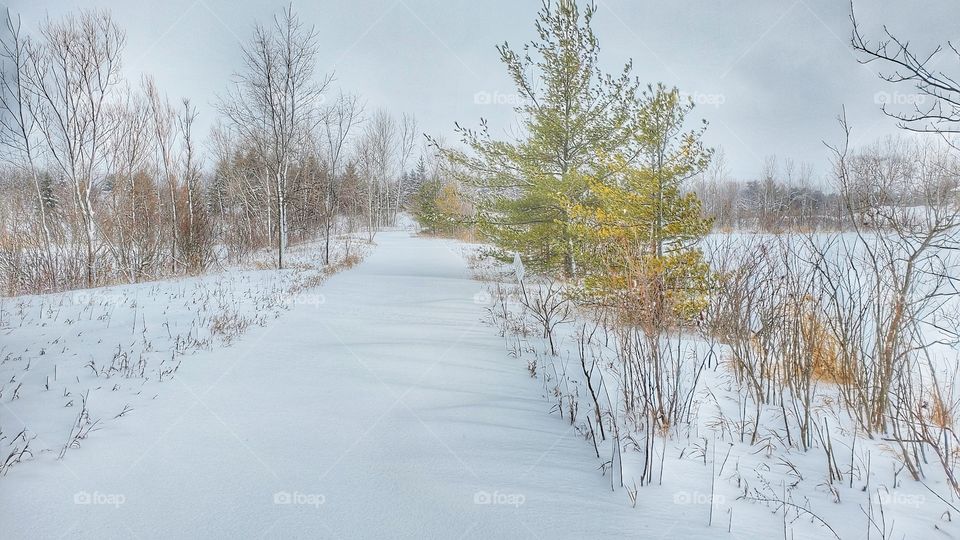 Untouched snowy trail
