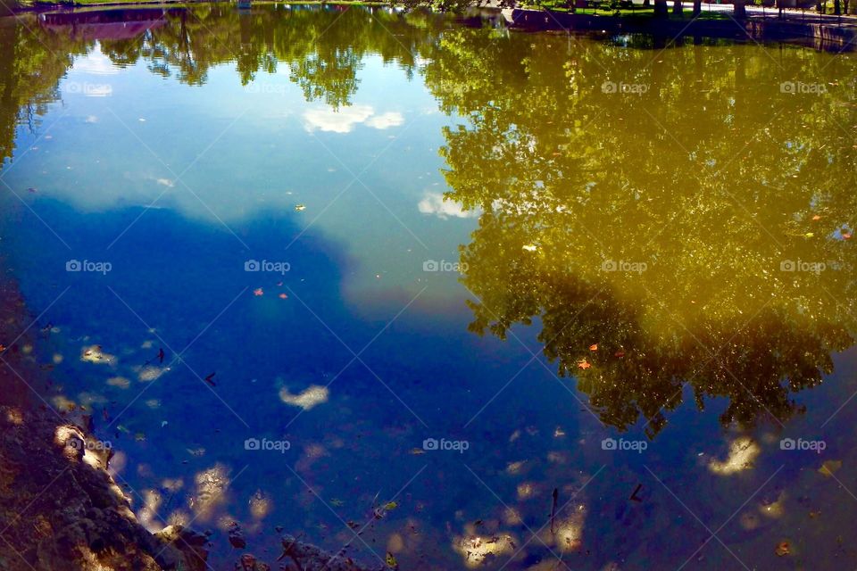 Beautiful summer reflection on the river