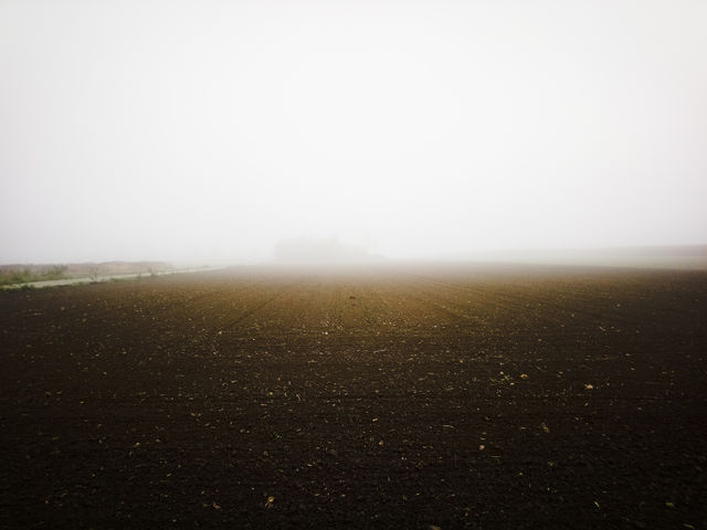 Fog