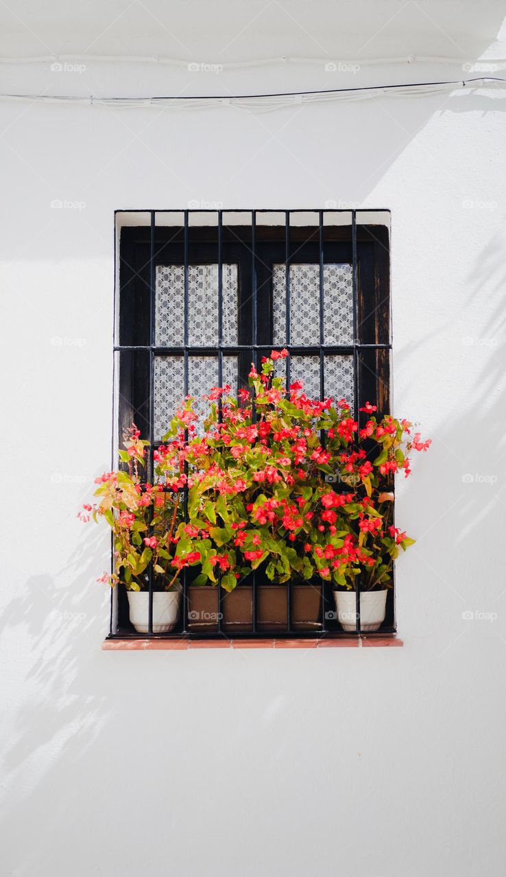 Flowers in a Spanish window!