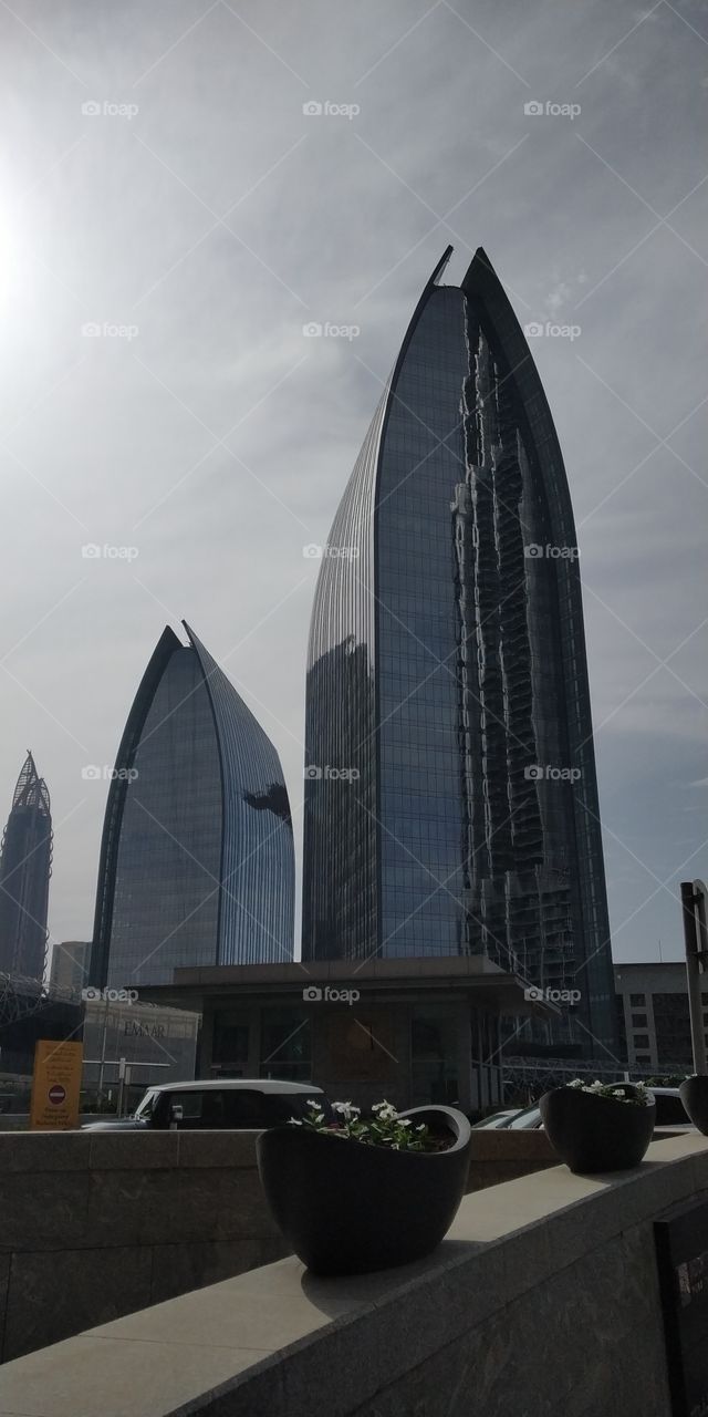 editors' choice: photo of the week