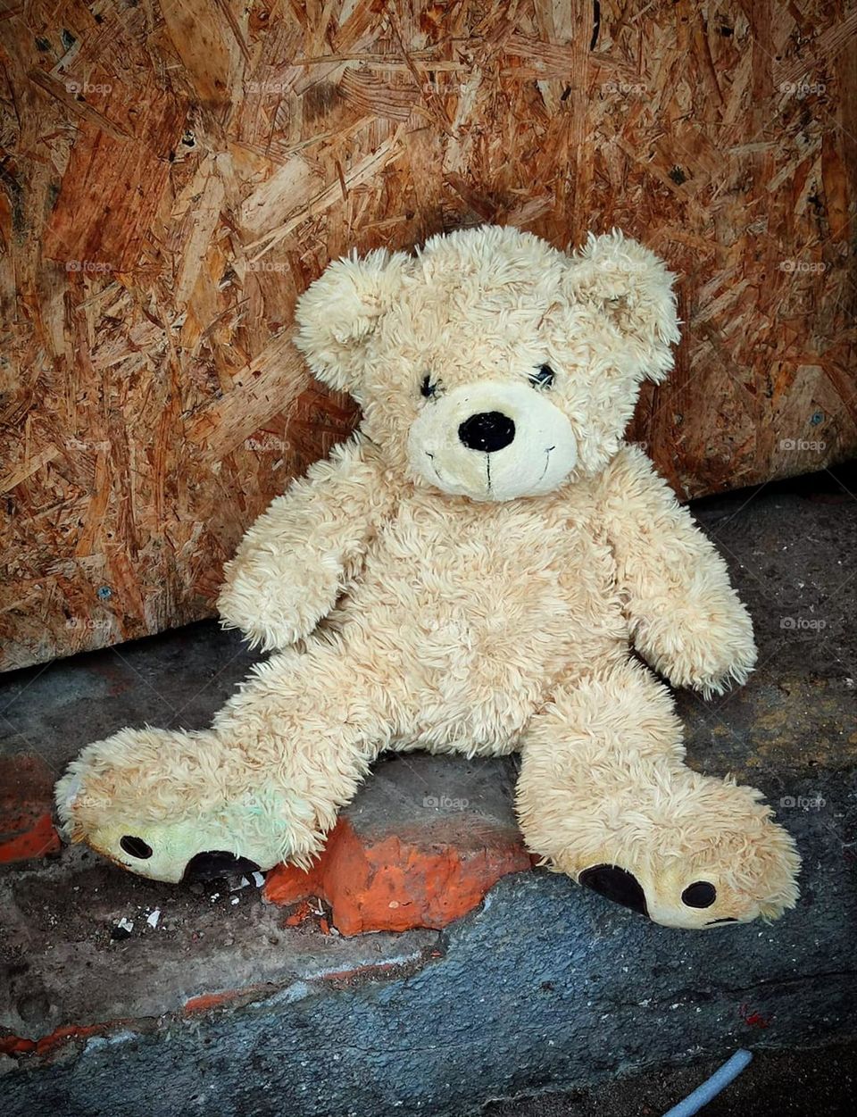 Sadness.  A white teddy bear is thrown on the pavement.