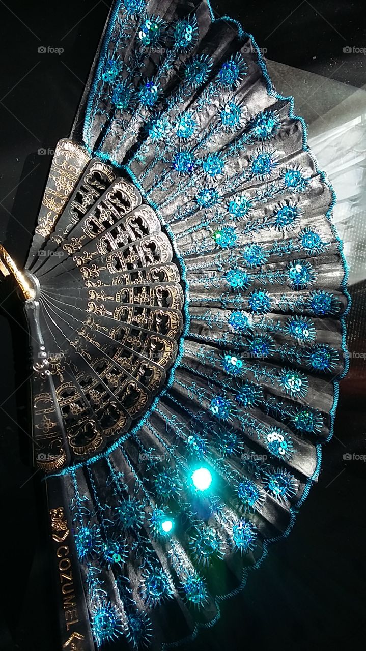 Spanish Hand Fan