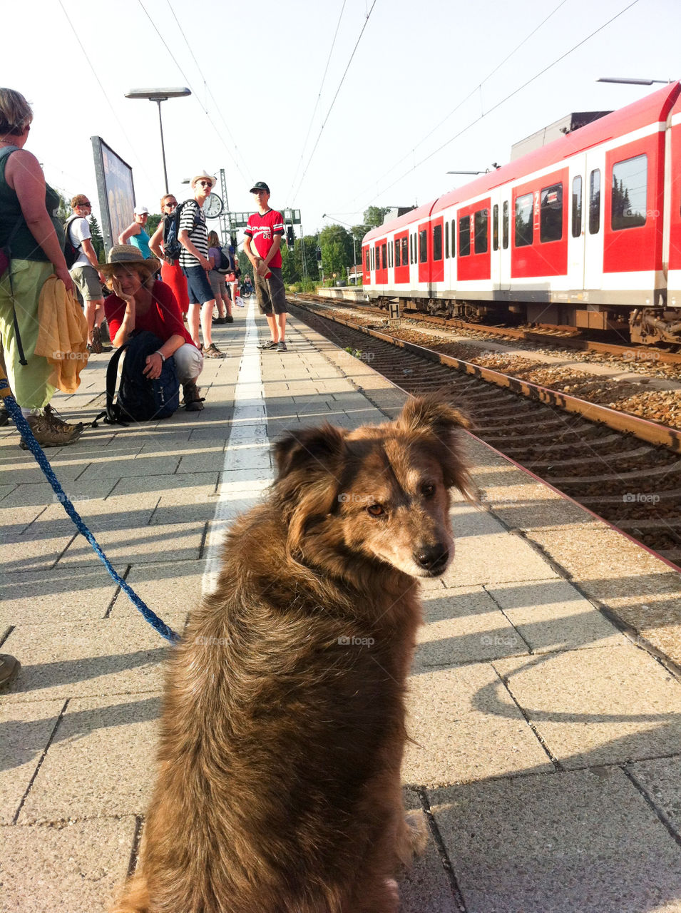 Waiting on the train . Germany 