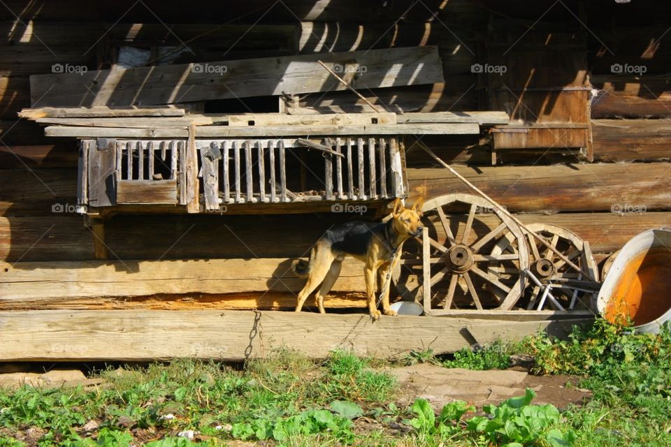 No Person, Wood, Wooden, Farm, Barn