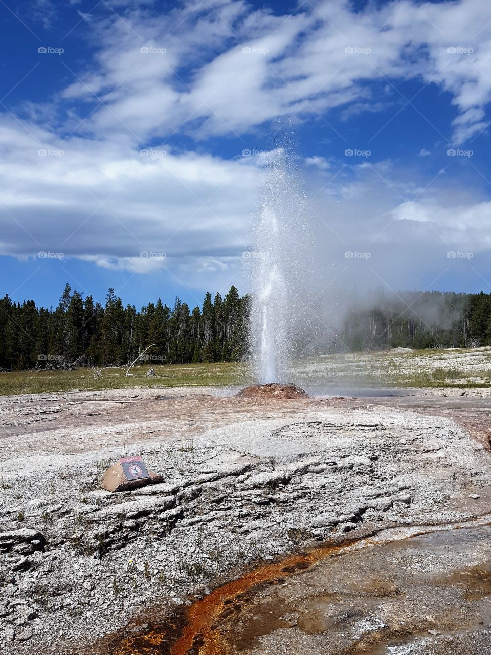 View of yellowstone national park