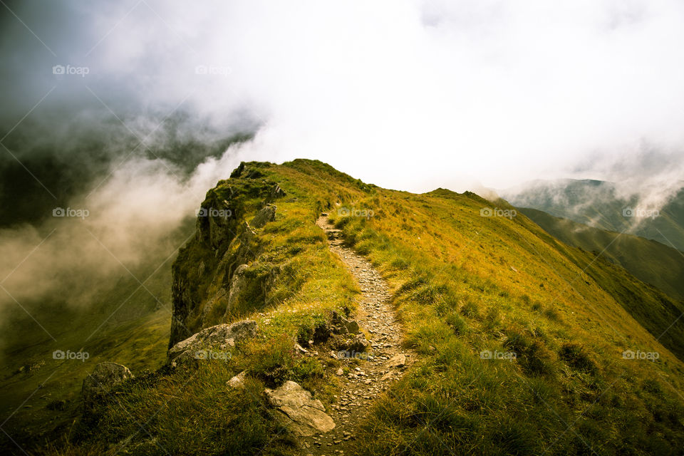 Landscape, No Person, Fog, Travel, Mist