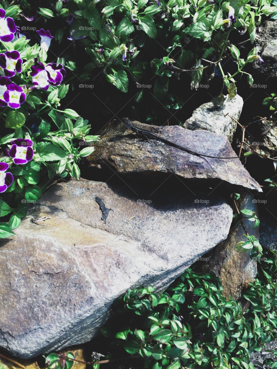 Always forgive but never forget, learn from your mistakes but never regret.