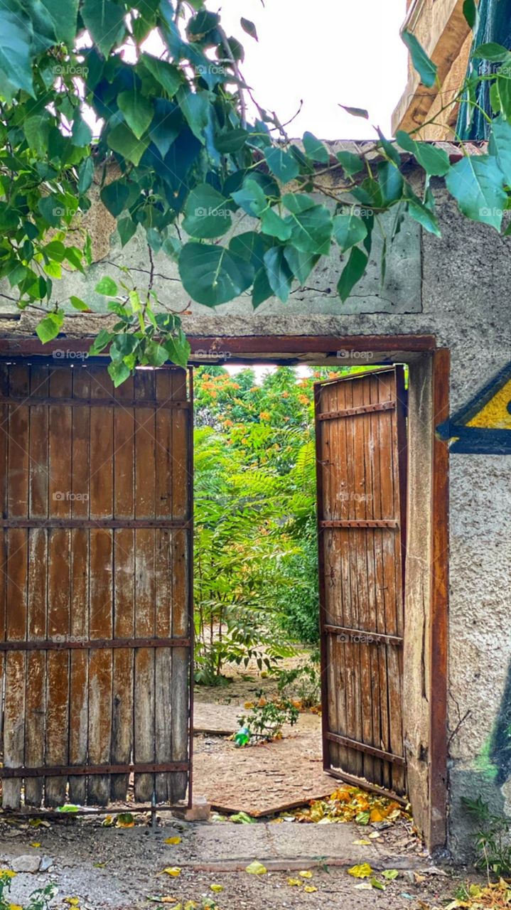 Old doors 