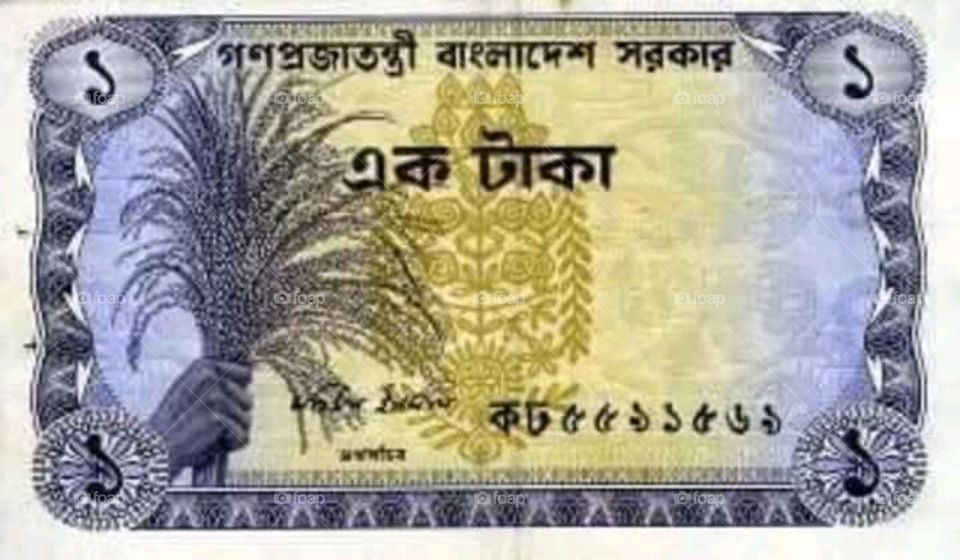bangladesi currency