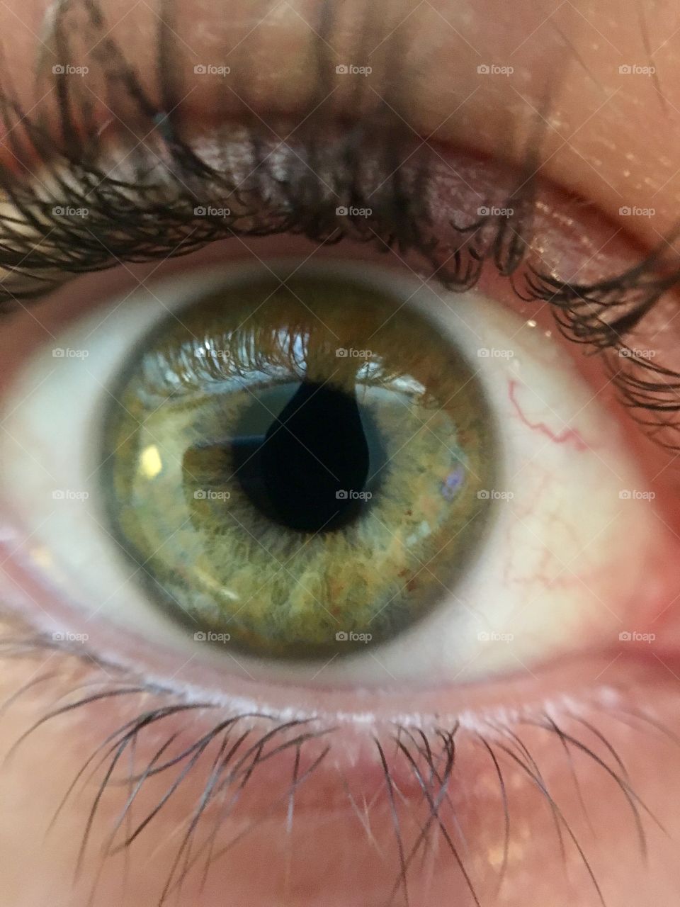 The eye has it