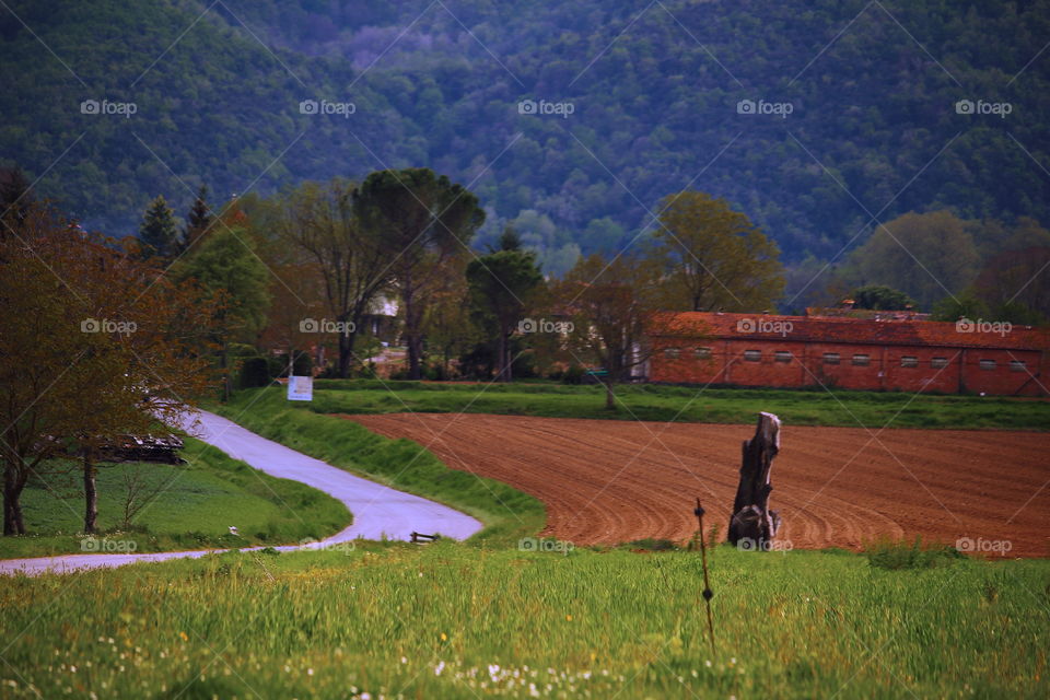 Road to mountain