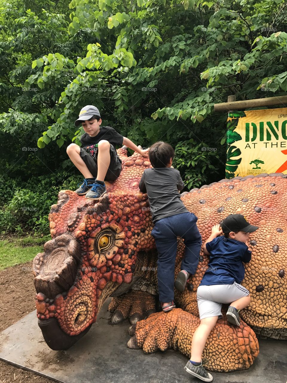 Visiting dinosaurs 