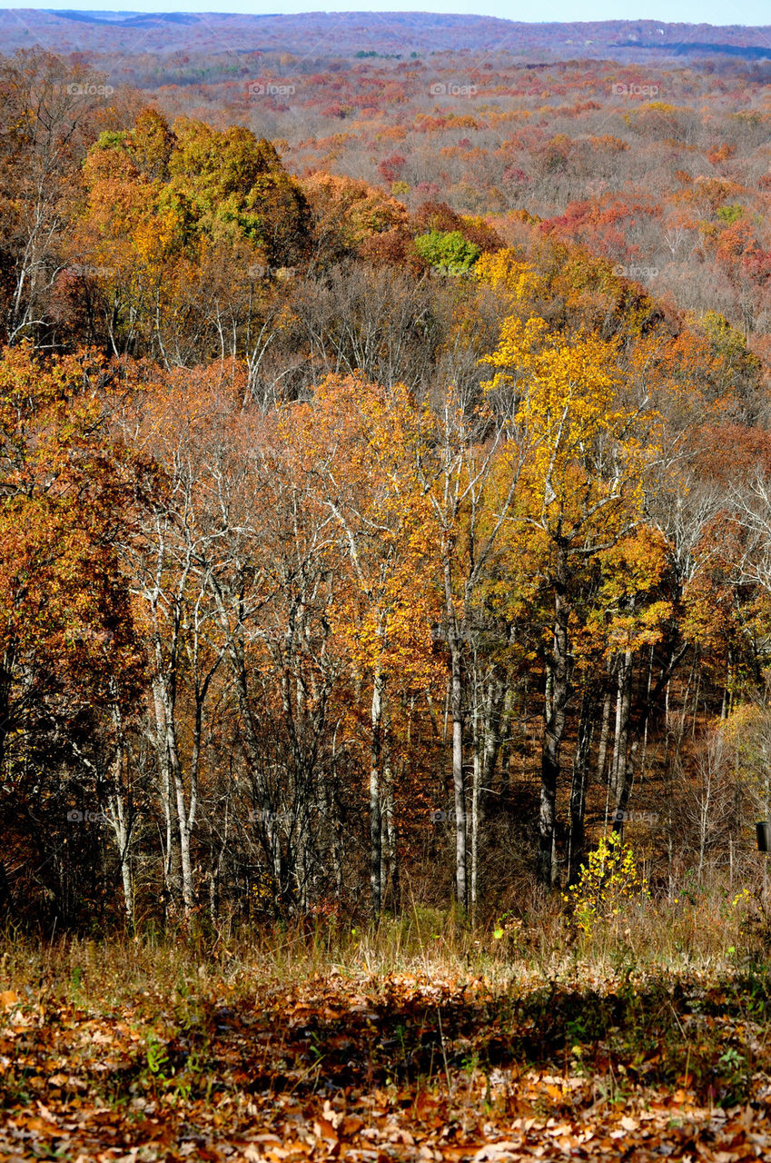 Tennessee mountains in autumn