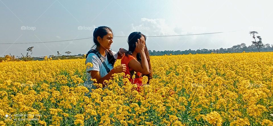 Yellow beauty in the Mustard field