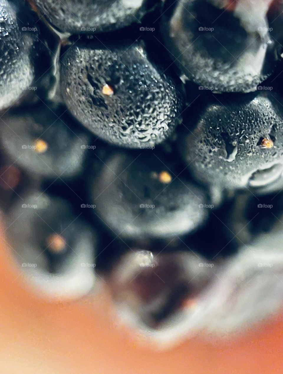 Blackberry with Macro shot