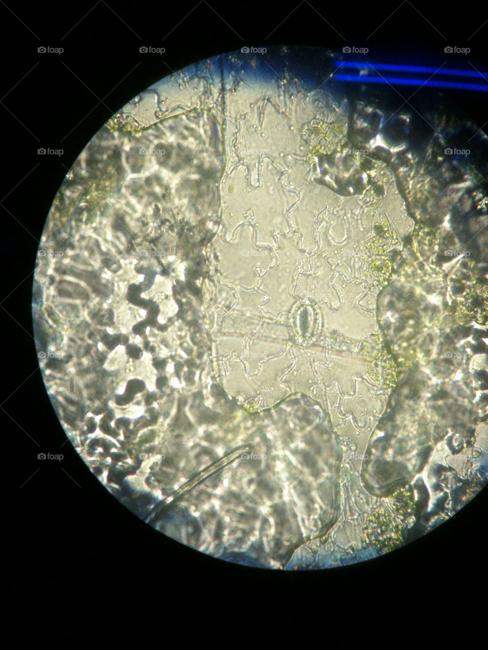 Desktop, Science, Nature, Abstract, Astronomy