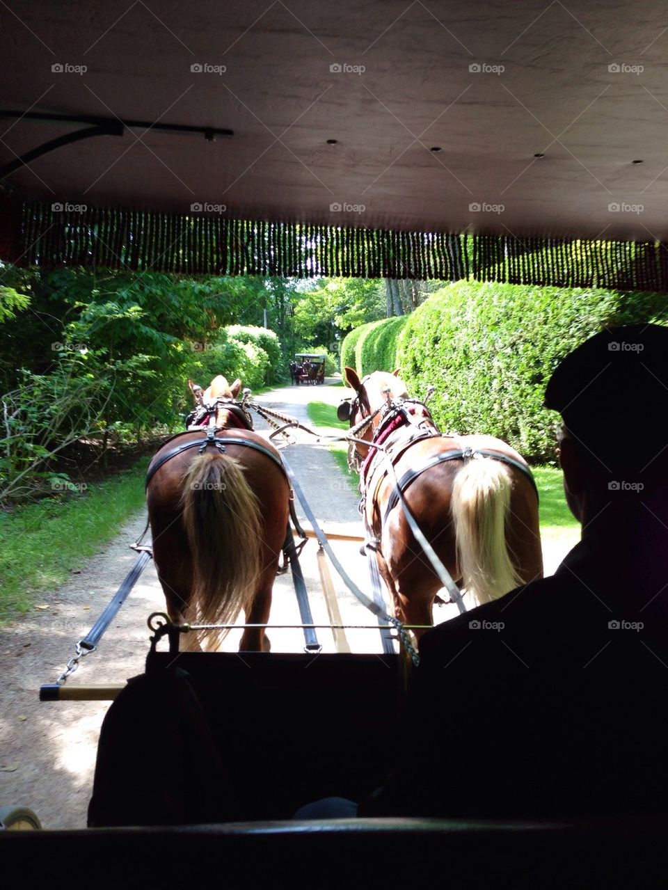 Horse drawn carriage tour of Mackinac Island, MI  
