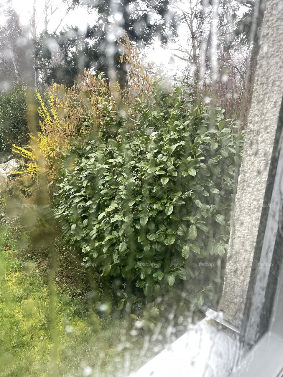 Looking through window on a rainy day in spring 