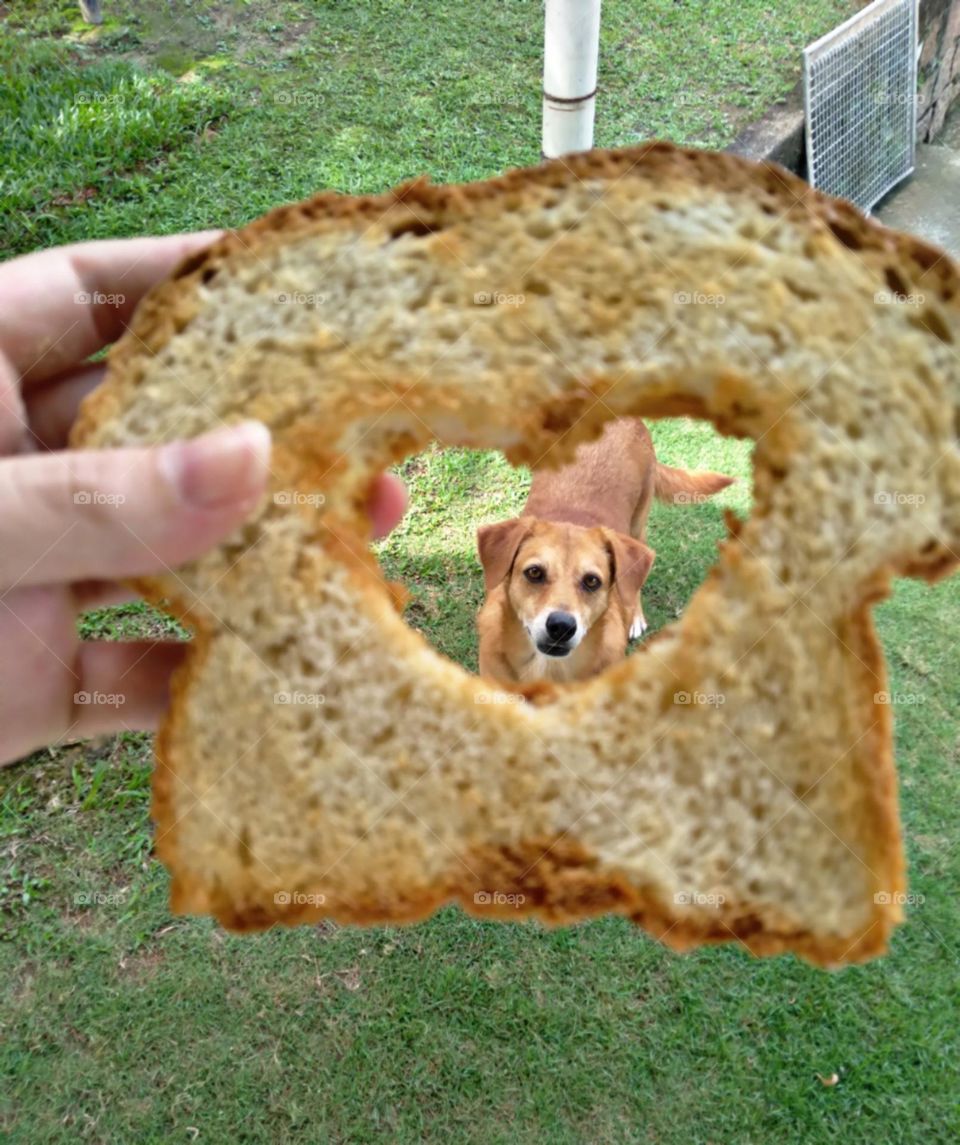 Ansiosa pelo pão de coração