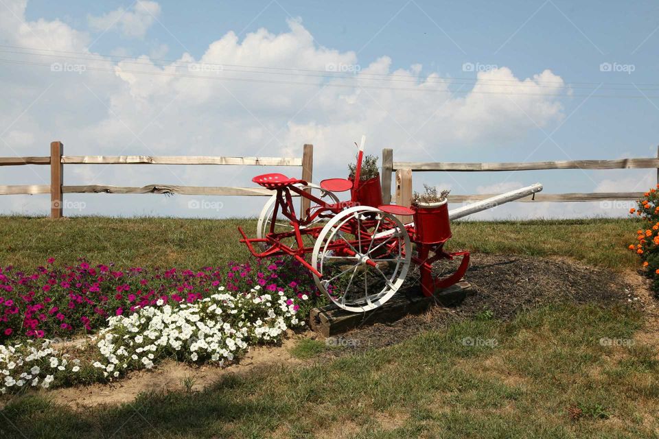 Red cart in flower field