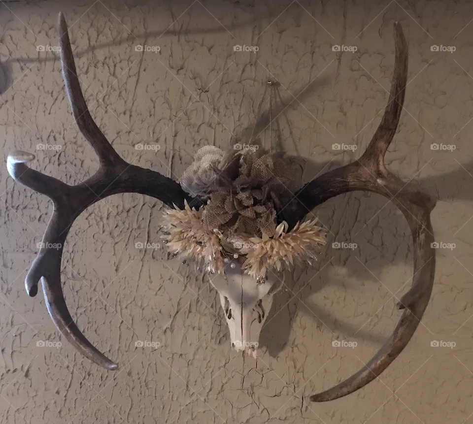Buck