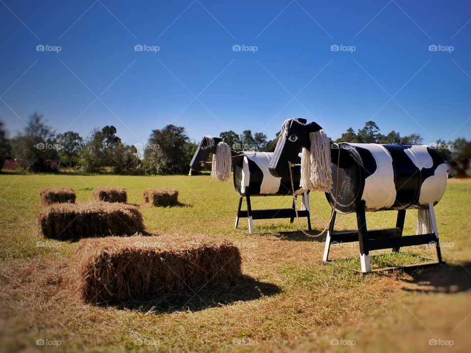 Fall Paints. I visited a local corn maze and spotted these metal horses.