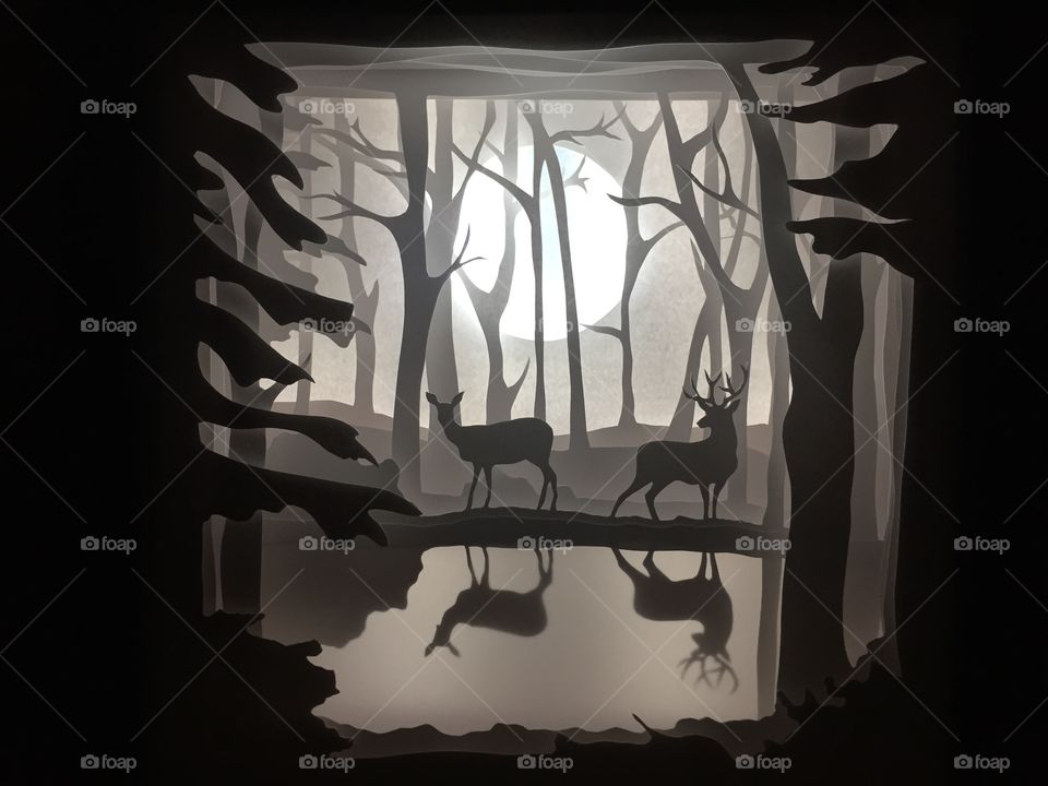 Deer in Woods
