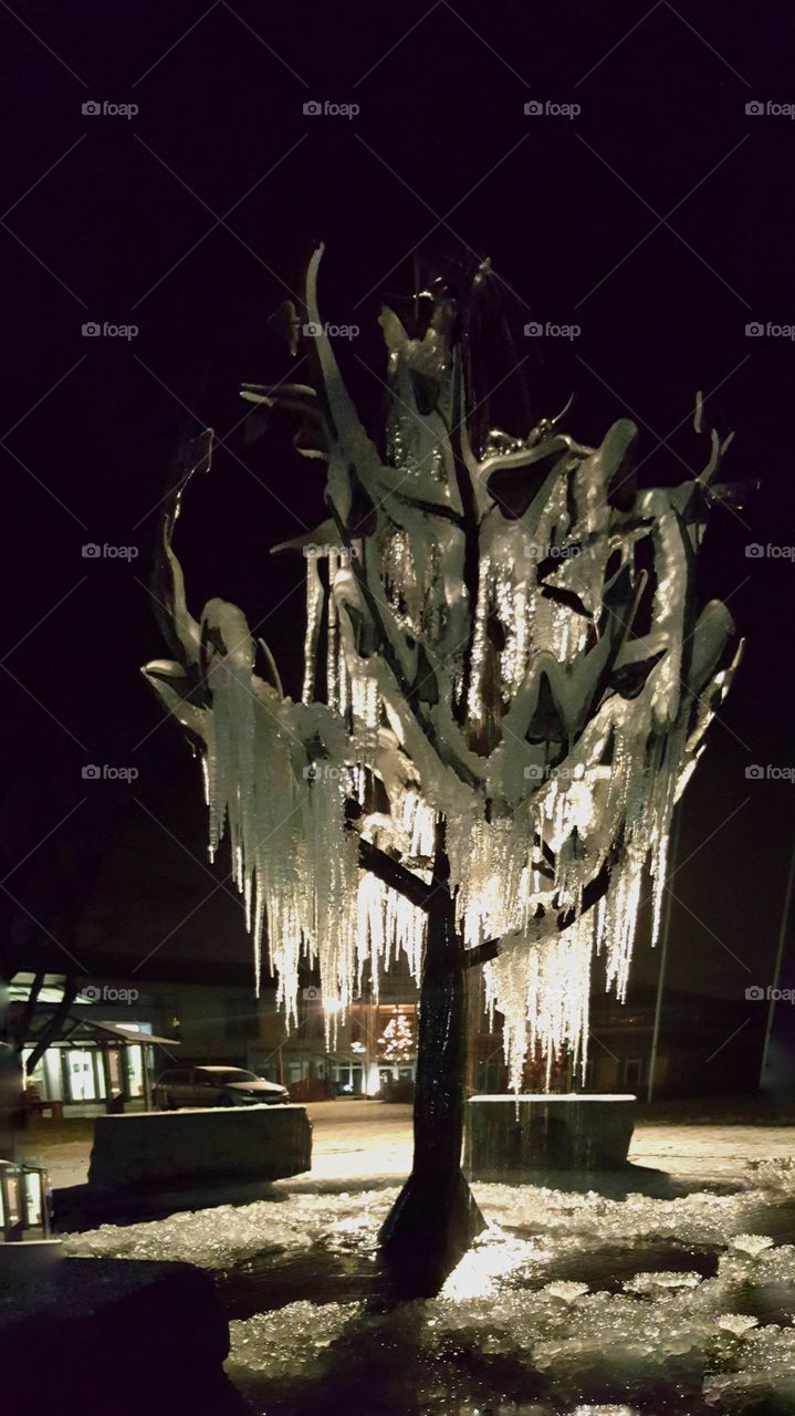 tree in ice