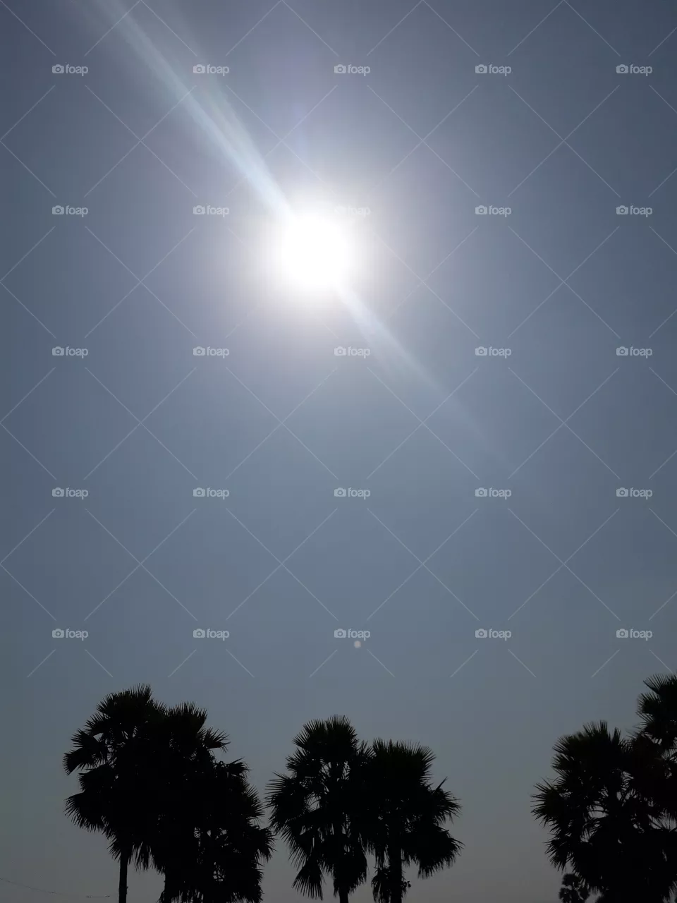 sun