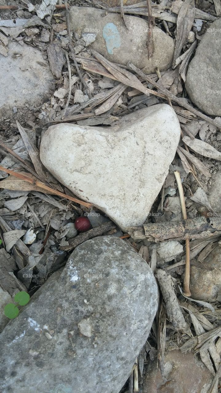 Heart of stone. Heart-shaped rock
