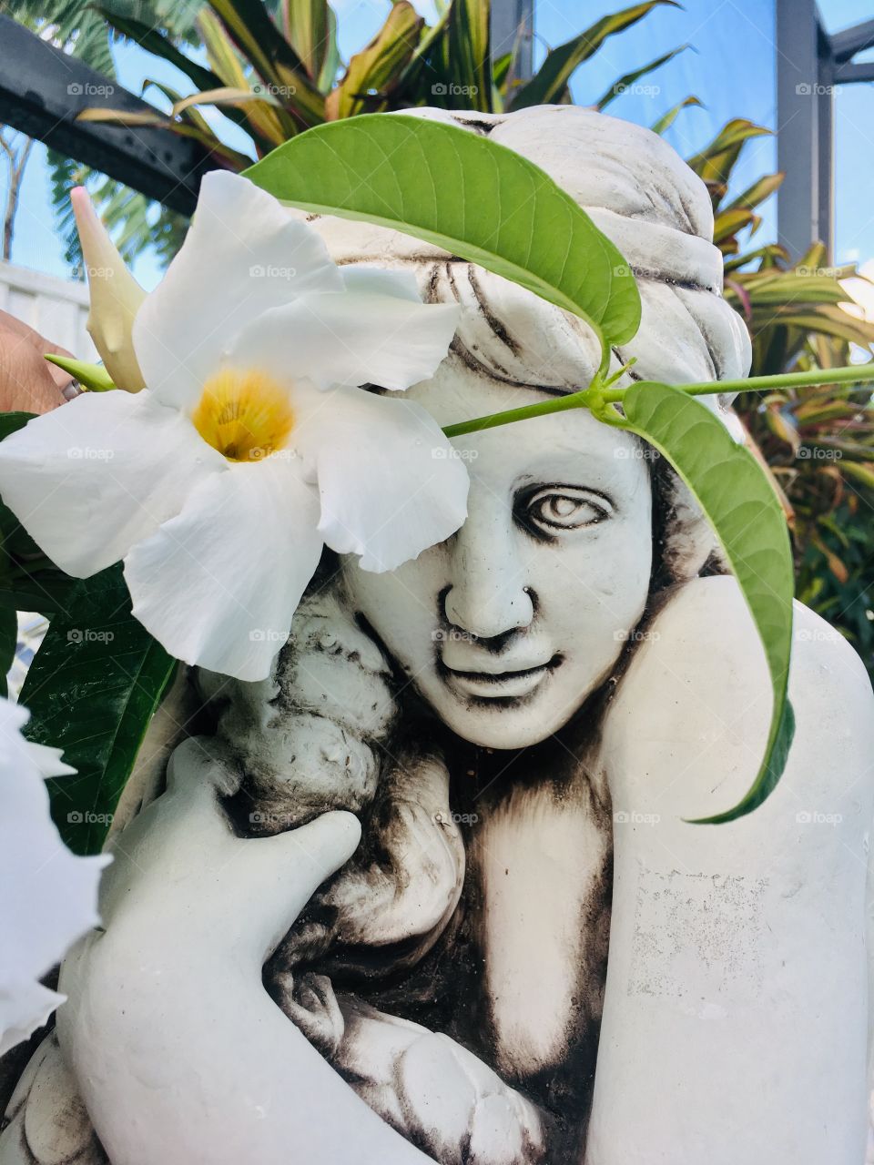 My mermaid hiding behind a white flower 