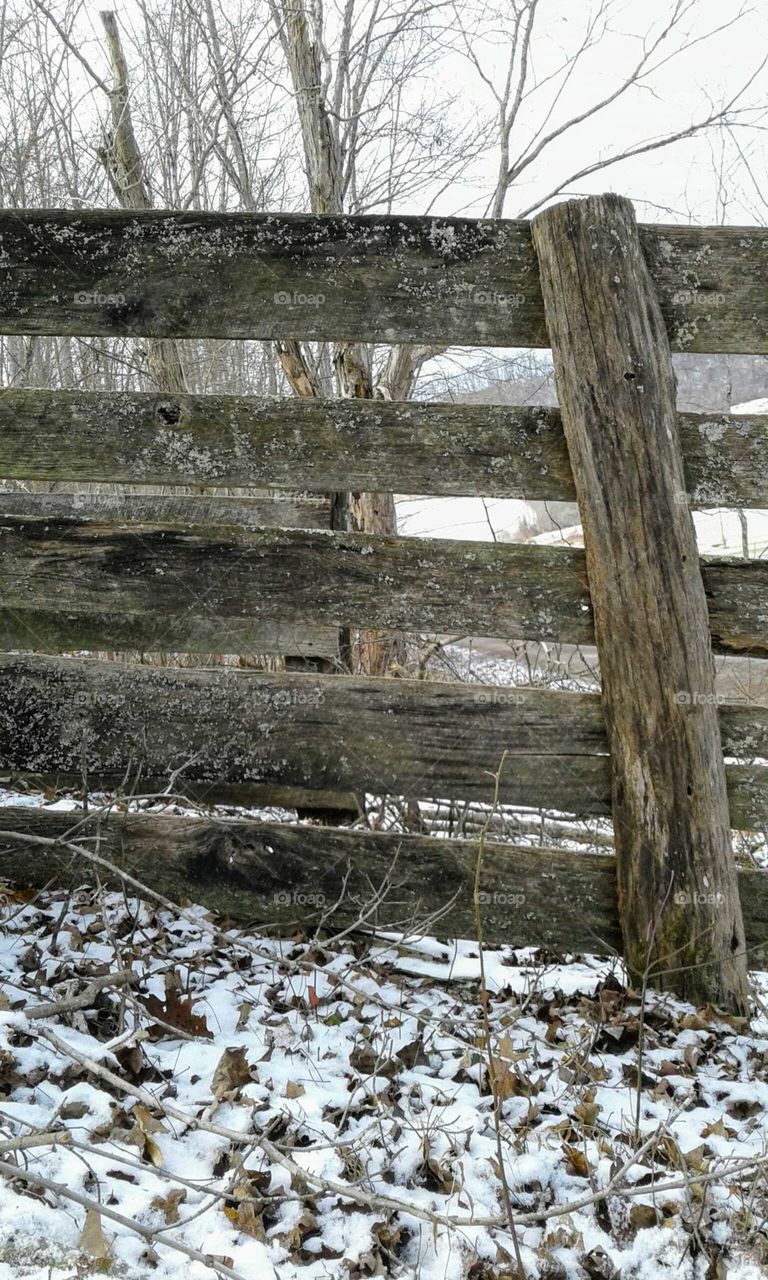 Wood Fence & Snow