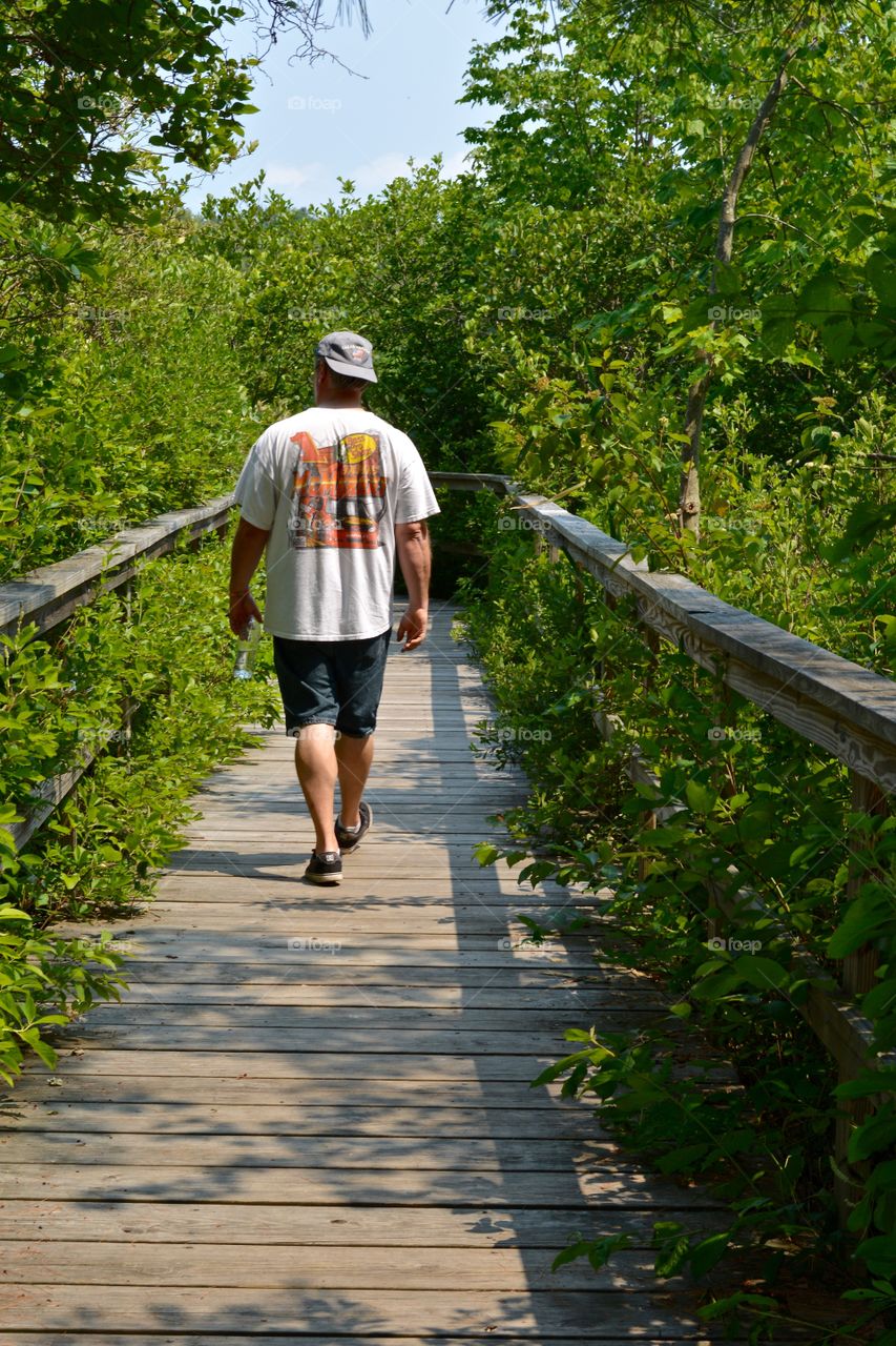 Man hiking across a wooden bridge thru conservation land.