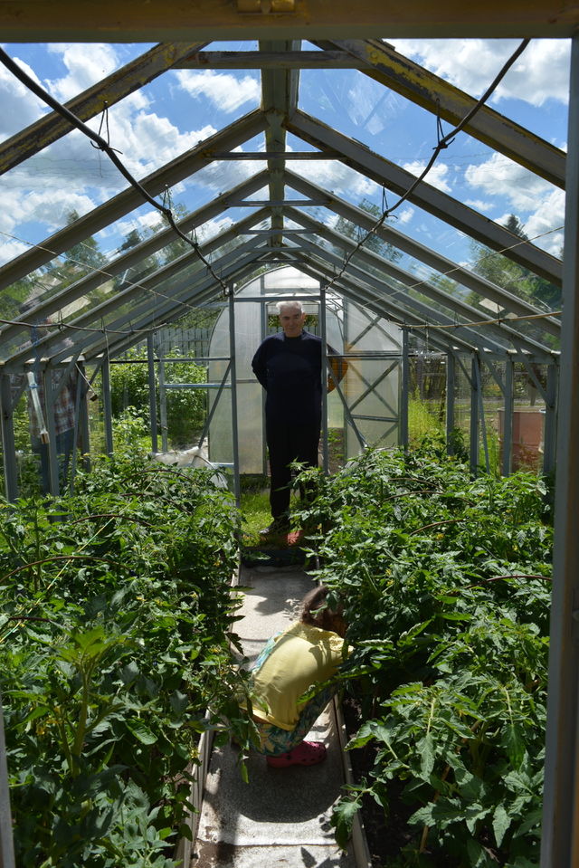 Greenhouse, Conservatory, Garden, Flora, Leaf