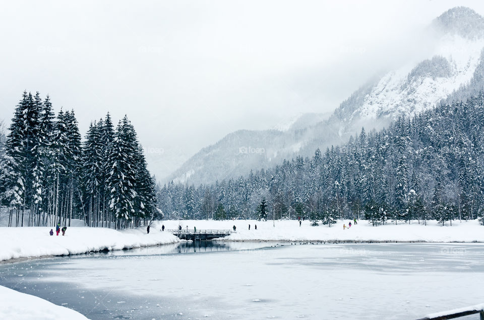 Scenic view of the winter landscape. Snowcovered winter forest against the snow covered mountains in Slovenian Alps.