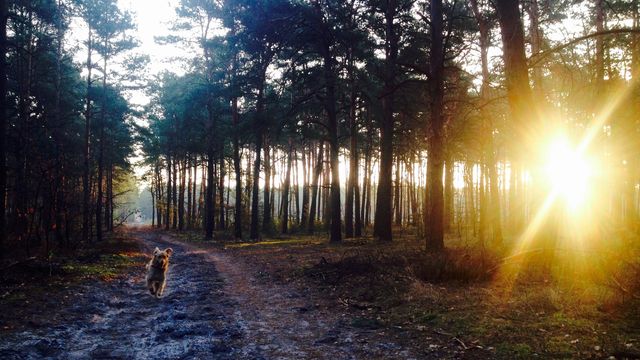 Morning with Friends . iPhone 4s