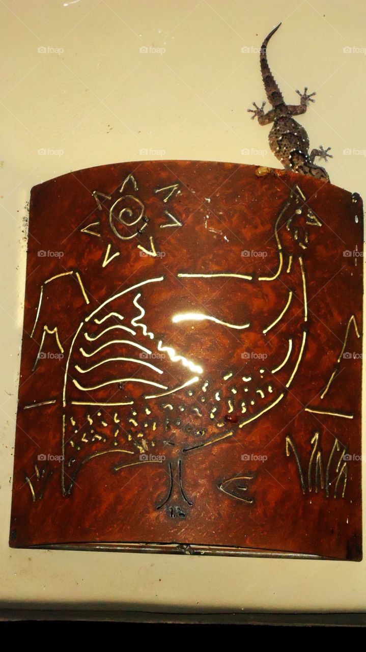 Gecko catching moths near the light