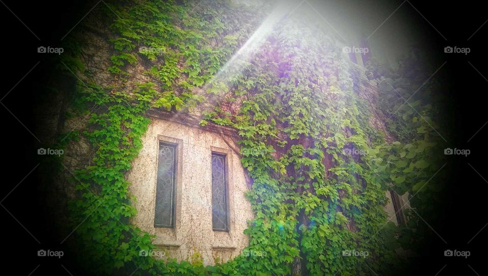 Chicago architecture